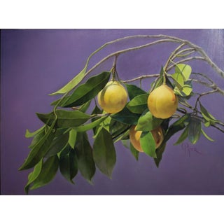 Nutmeg in Situ by Marsha Whitesides Piper | Oil Painting of nutmeg fruit on branches with leaves For Sale