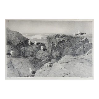 Stow Wengenroth Great Black Back Gulls Massachusetts Lithograph For Sale