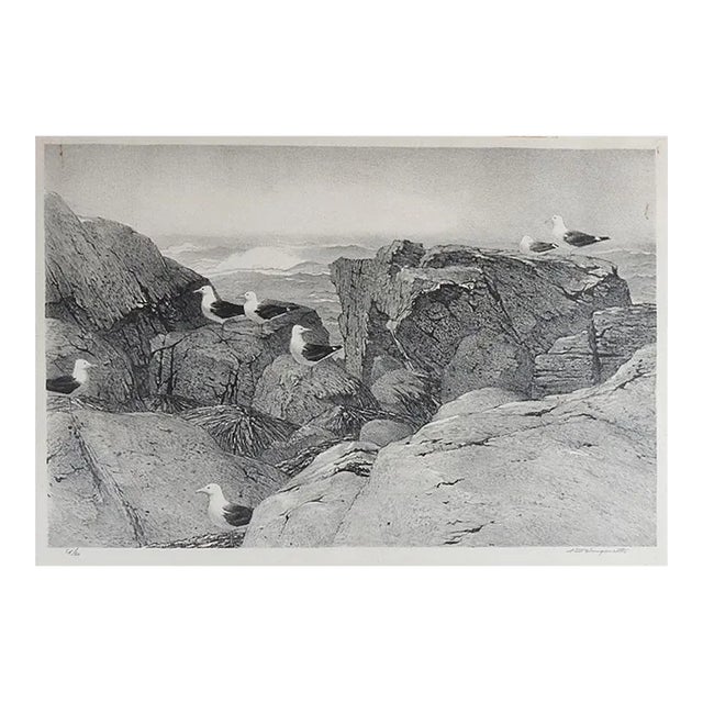 Stow Wengenroth Great Black Back Gulls Massachusetts Lithograph For Sale
