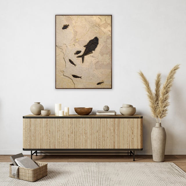 This fossil fish mural features a large Diplomystus dentatus, three Knightia eocaena, and two Cockerellites liops in...