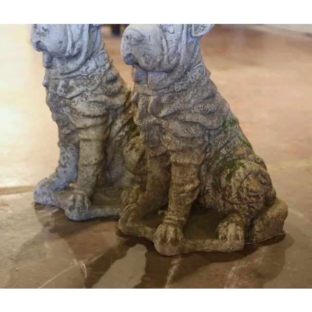 French Pair of Vintage French Weathered Stone Shar-Pei Garden Dog Sculptures For Sale - Image 3 of 7