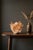 A small sculptural natural Tangerine Quartz cluster selected for its warm rust-orange hematite coating, translucent quartz...