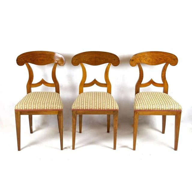 Biedermeier Nutwood Shovel Dining Chairs, 19th Century, Set of 6 For Sale - Image 9 of 13