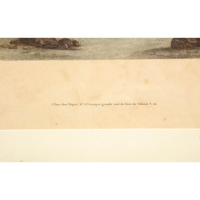 Early 19th Century Early 19th Century Potted Auricula Engraving by Jean-Louis Prévost in Pine Frame For Sale - Image 5 of 10