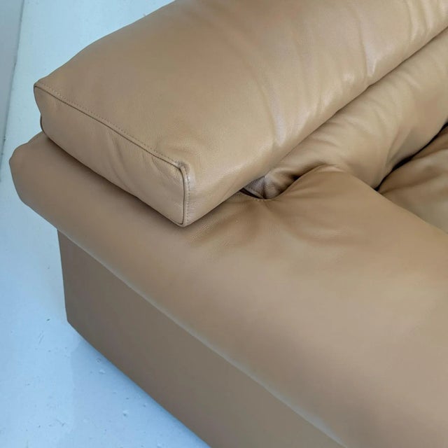 Leather Erasmo Sofa by Afra and Tobia Scarpa for B&b Italia For Sale - Image 10 of 12