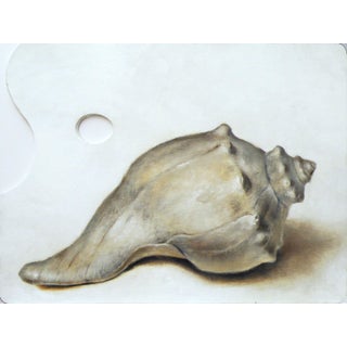 Conch by Daniel Maidman | Oil on palette Painting of a conch shell on a palette For Sale