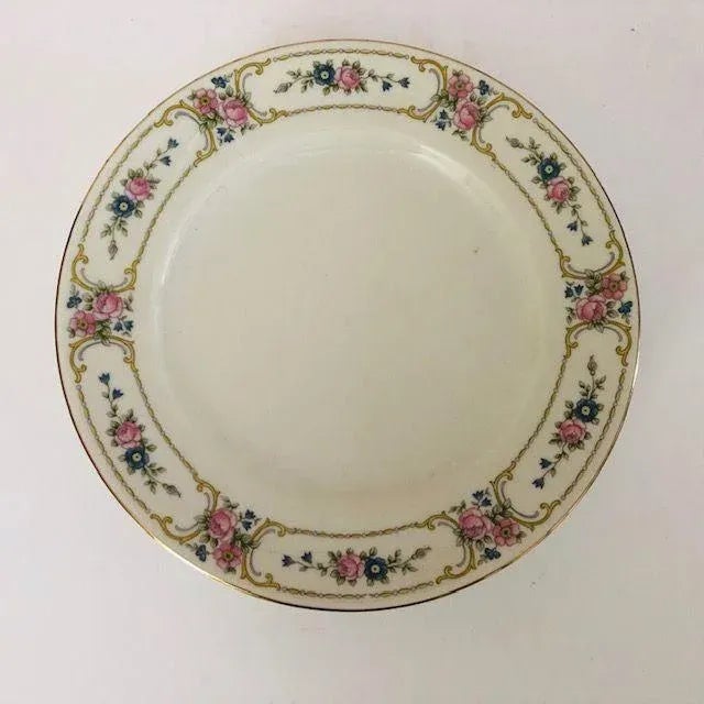 Shabby Chic Vintage Johann Haviland China Primrose Dinner Plates- Set of 4 For Sale - Image 3 of 5