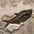 Fossil Fish Mural 7009cm For Sale - Image 4 of 5