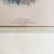 Gold Pair of Framed John Gerrard Keulemans Lory Prints | 1896 Hand-Colored Lithographs, Mivart's Monograph of the Lories For Sale - Image 8 of 10