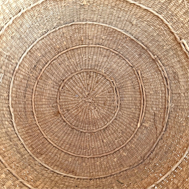 Yanomami Gathering Basket For Sale - Image 13 of 13