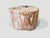 Andrianna Shamaris Coral Toned High Quality Petrified Wood Side Table For Sale In New York - Image 6 of 18