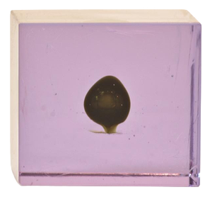 Alexandrite Glass Paperweight by Flavio Poli for Seguso Vetri d'Arte, Italy, 1958