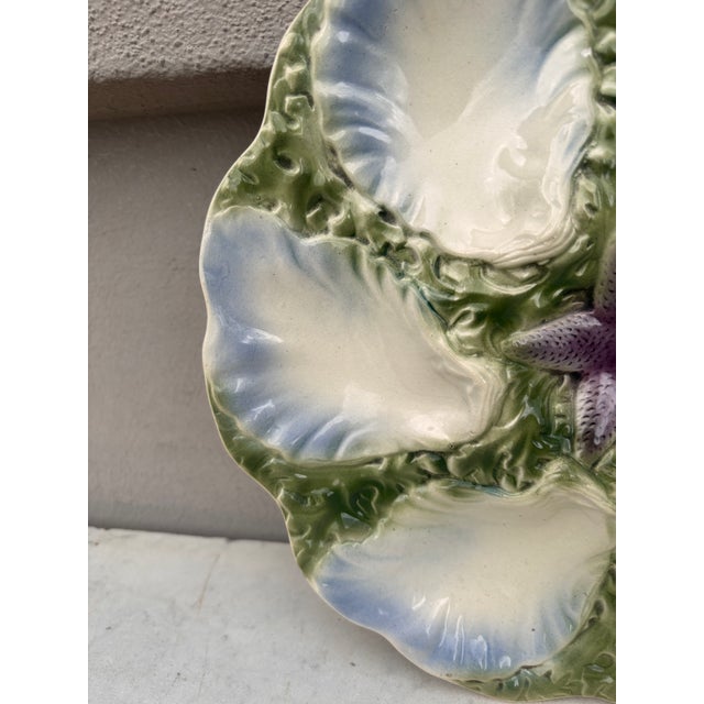 French Majolica Oyster Blue Starfish Plate Digoin, Circa 1900 For Sale - Image 3 of 4