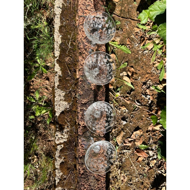 1930s Fostoria Chintz Champagne or Liquor Glasses Etched With Chintz Pattern- Set of 4 For Sale In Sacramento - Image 6 of 8