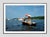 Harvard-Yale Regatta by Toni Frissell A vintage wooden boat carries passengers during the Harvard-Yale Regatta, circa...