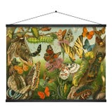 Butterfly Wall Hanging For Sale