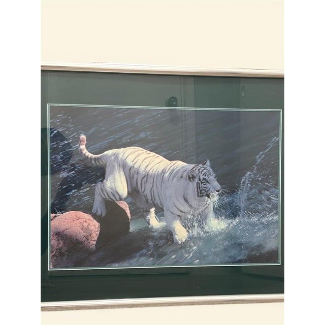 The framed photograph titled "White Tiger" captures a realistic landscape featuring a majestic white tiger as the main...
