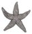 Deep Pewter Starfish - small For Sale