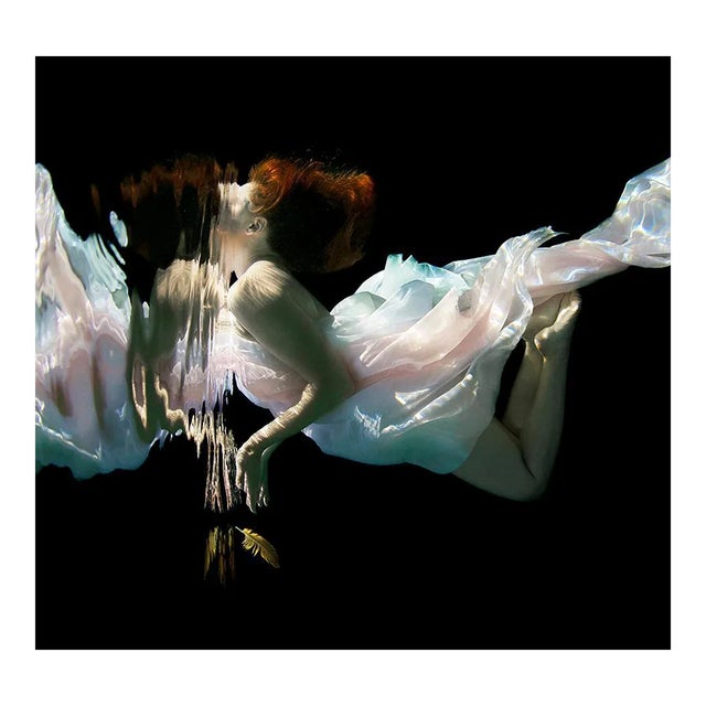 Feather, Underwater Photograph, Metallic Pearl Paper, 2013 For Sale