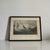 John James Audubon Art Print - Trumpeter Swan For Sale In Lexington, KY - Image 6 of 10