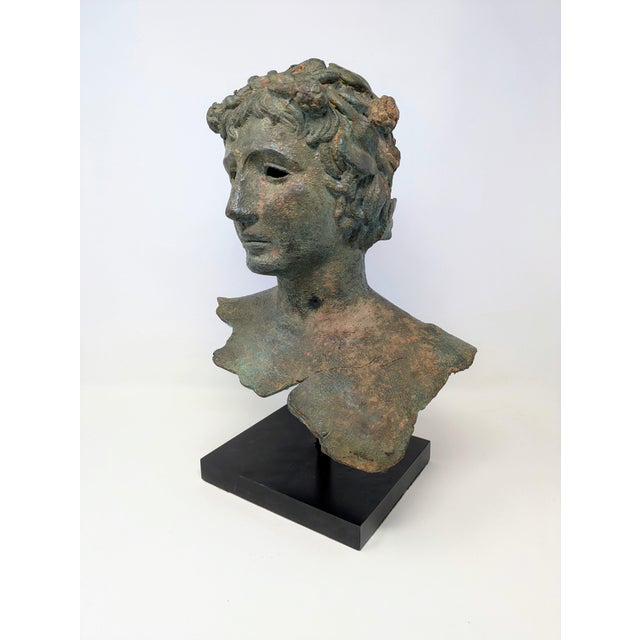 Grand Tour 19th Century Greco-Roman Bronze Bust: Bacchus/Dionysus For Sale - Image 3 of 9