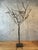 1990s Jan Barboglio Forged Iron Tree Floor Candelabra 7-Light Candle Holder Signed 47" For Sale - Image 13 of 16