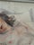 Erik Magnusson, Reclining Nude Woman, 1960s, Oil on Canvas, Framed For Sale - Image 6 of 17