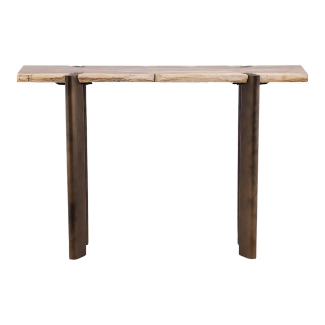 Petrified Wood & Bronze Console Table For Sale