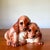 This is a 1956 Leland Claes Cocker Spaniel puppy lamp which was originally created to sit on top of a television set. Made...