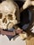 1970s Hand Sculpted, Carved and Parcel Gilt Skull and Crossbones Memento Mori Mounted on a Decorative Plaque For Sale - Image 5 of 11