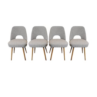 Dining Chairs by Oswald Haerdtl for TON, 1950s, Set of 4 For Sale