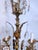 Traditional 1920s Vintage Spanish Chandelier With Crystal Prisms For Sale - Image 3 of 15