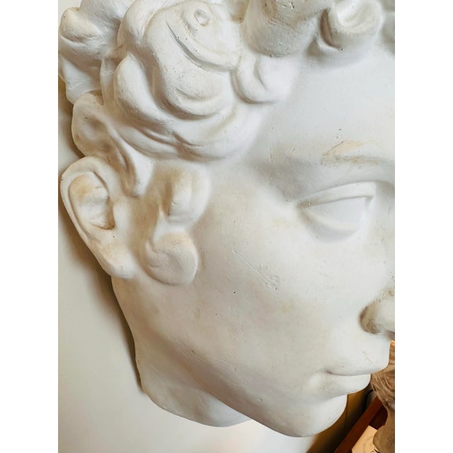 Mid Century Vintage Plaster Cast Head of David Wall Sculpture For Sale - Image 9 of 12