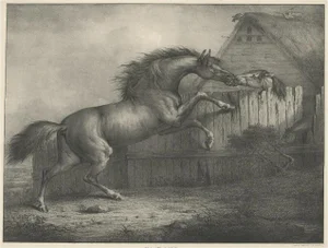 Henry Barnard Chalon, Horse Showing the Passion Love, 1827, Lithograph on Paper