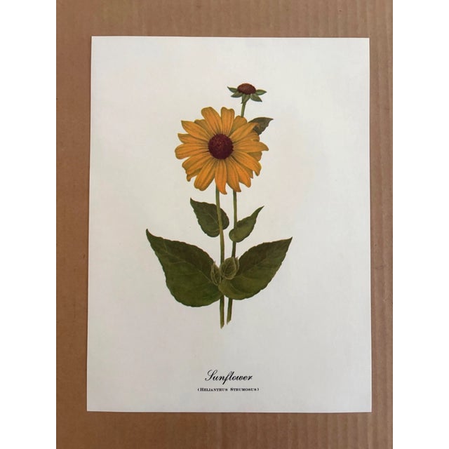 Up for sale is this charming print from an original painting by noted artist Mary Vaux Walcott (1860-1940), matted in an...