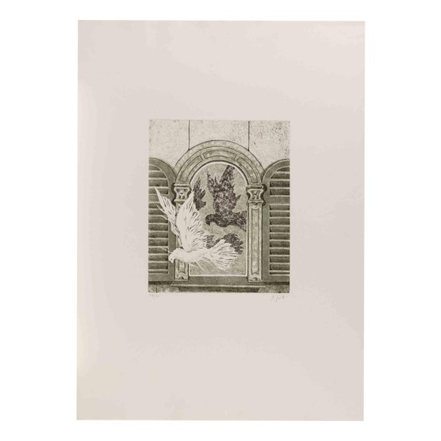 Paola Grott, Dove, Etching, 1990s For Sale