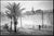 Not Yet Made - Made To Order Paul Cooklin, Walls of the Royal Palace, Edition of 50 For Sale - Image 5 of 5