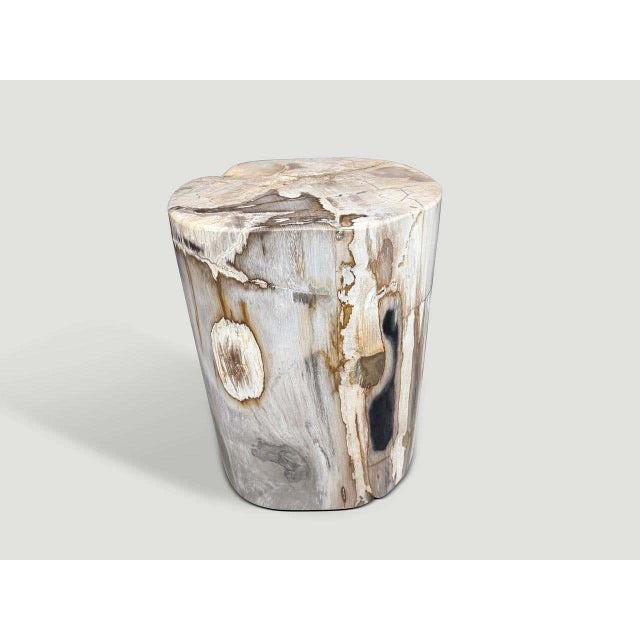 Contemporary Andrianna Shamaris Ancient Petrified Wood Side Table For Sale - Image 3 of 5
