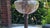 Antique Matador 15 Oil Lamp For Sale - Image 4 of 8