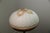 Antique Bradley & Hubbard Bronze Table Lamp With Slag Glass Dome Shade For Sale - Image 17 of 18