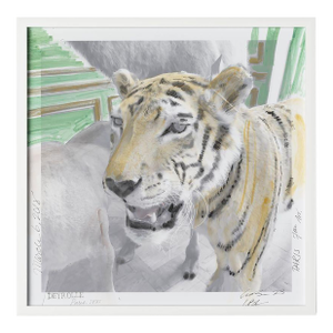 Deyrolle by Lia Burke Libaire in White Frame, Small Art Print on Paper