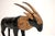 Antique Wood Parcel Gilt Sculpture of an Ibex, 1900 For Sale - Image 6 of 11
