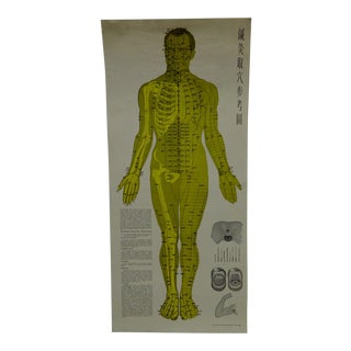 Vintage Chinese Acupuncture Body Chart Poster, 1972 For Sale