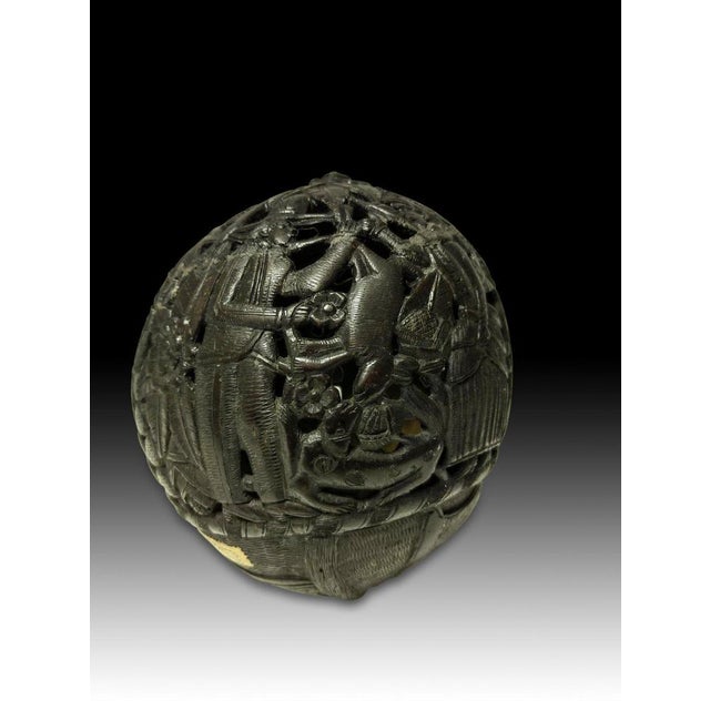 Carved Coconut, 19th Century For Sale - Image 9 of 14
