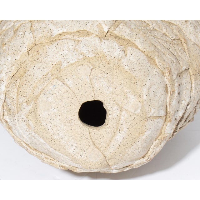 Ceramic 2012 Studio Pottery Sculpture of a Bird by Gordon Martz For Sale - Image 7 of 8