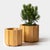 Kugge41 Flower Pot in Pine by Dahlén Lukas For Sale - Image 4 of 8