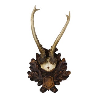 Great Roe Deer Trophy on a Carved Plaque, Germany Ca. 1930s For Sale
