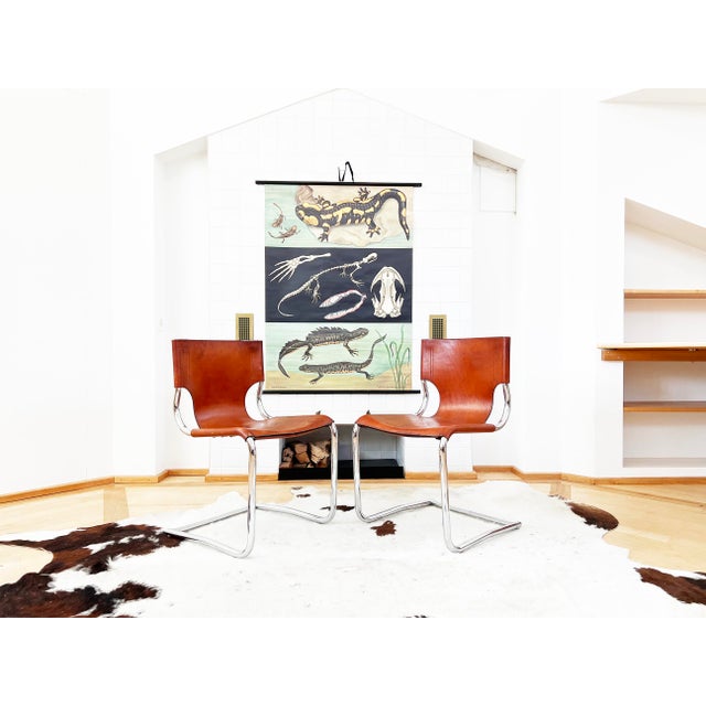 Brown Set 8 Carlo Bartoli T 70 920 Cantilever Chairs Brown Leather - 8 PCS For Sale - Image 8 of 18