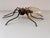 Italian Spider Wall Light Sconce with Yellow Glass Body, 1960s For Sale - Image 3 of 12