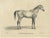 G. Ebner, Sultan Mahmoud, 1846, Lithograph For Sale - Image 9 of 9